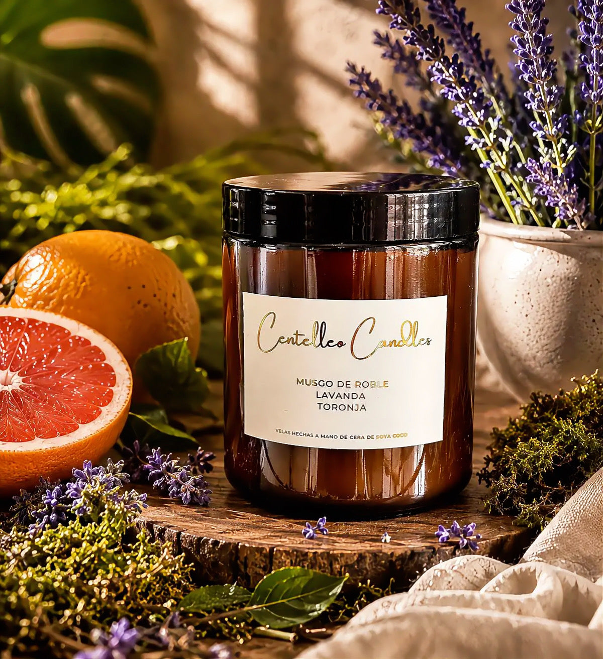 Musgo de Roble · Lavanda · Toronja