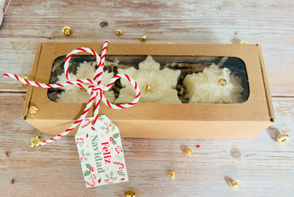 Kit de copos de nieve